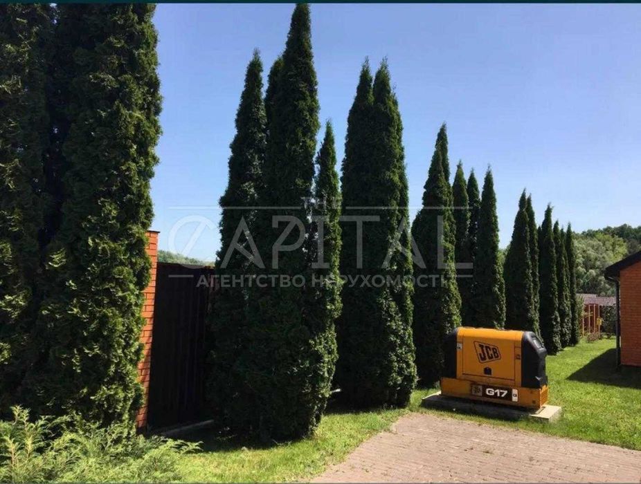 Оренда будинку з басейном, Великі Дмитровичі, Обухівський р-н