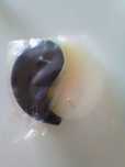 Vela em cera  yin yang