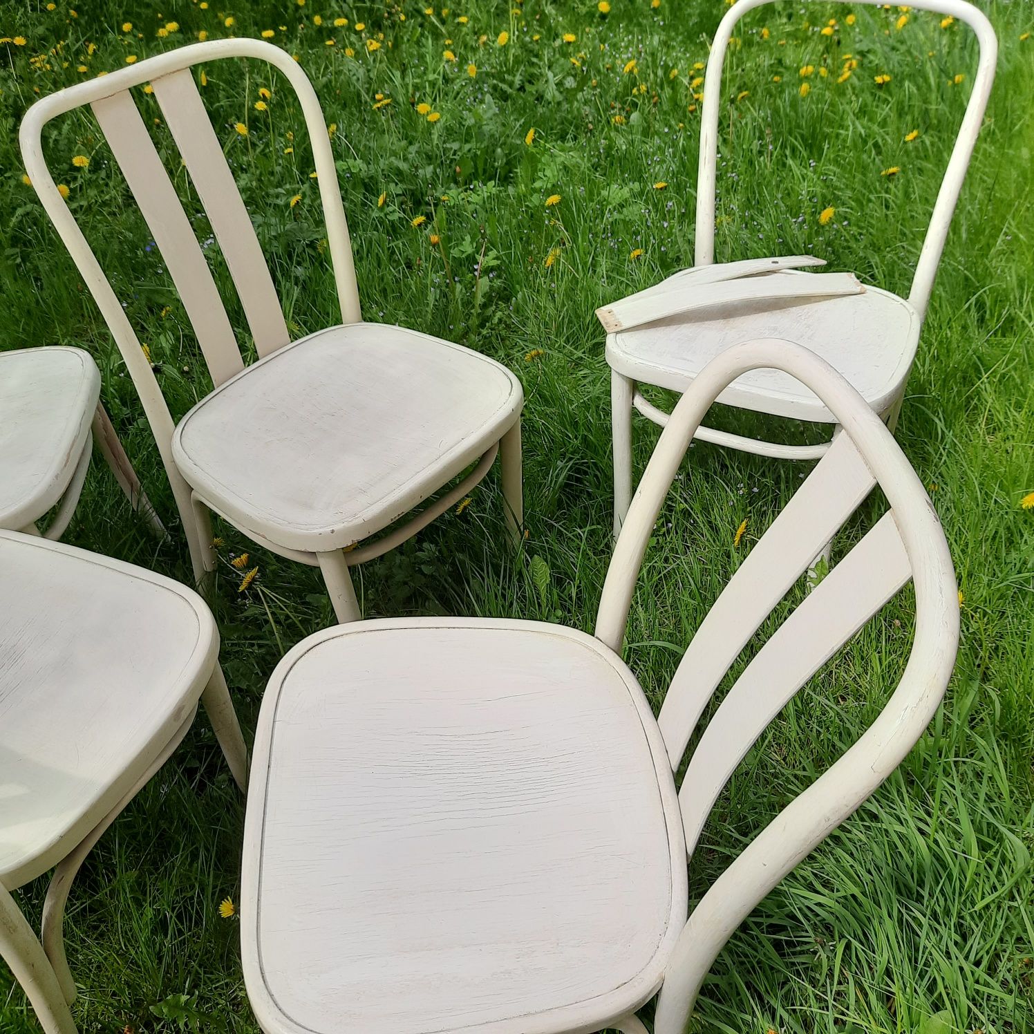 Krzesła do renowacji 7 sztuk