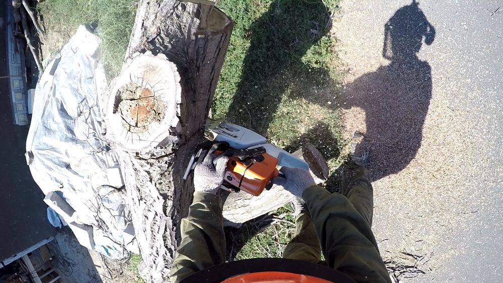 Спил деревьев, обрезка веток