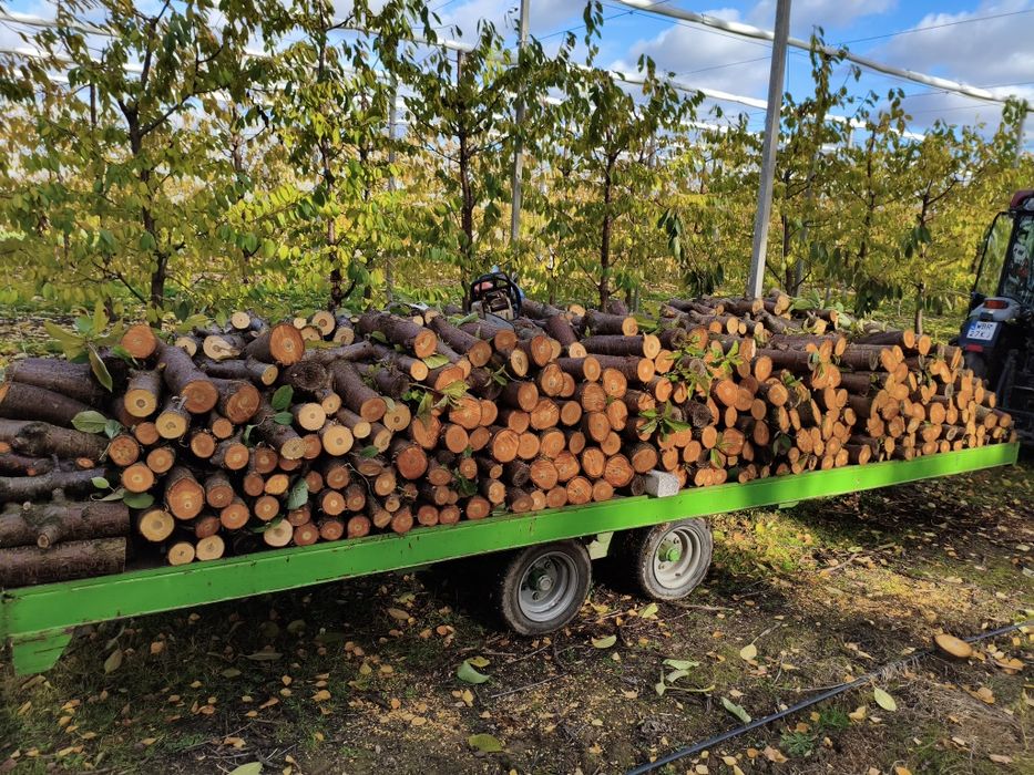 Drewno opałowe kominkowe