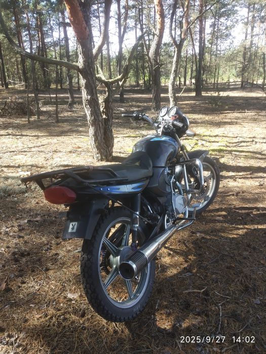 Bird 125, небитий не крашений!