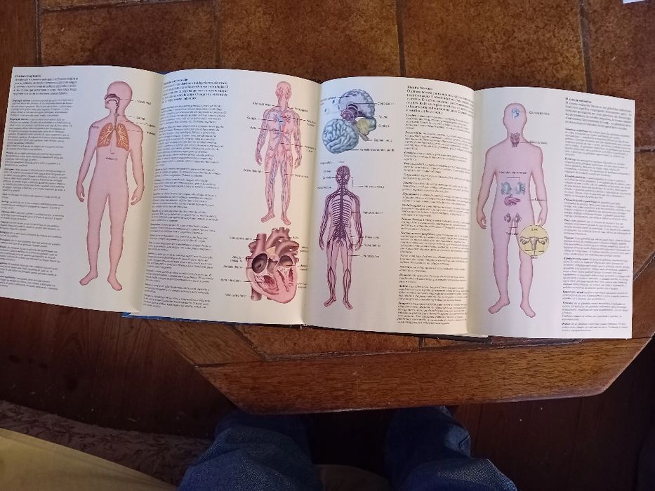 O Corpo Humano, Dicionário Básico das Ciências Médicas, Revista Visão