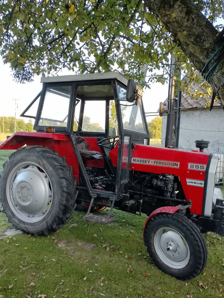 Massey Ferguson MF255