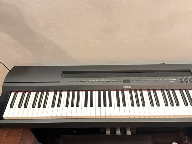 Digital Stage Piano Yamaha P-255 b