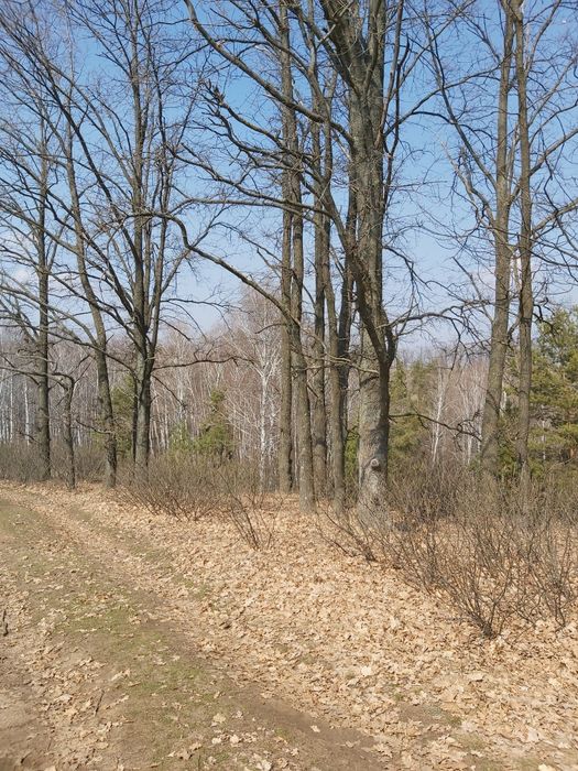 Продам Земельный Участок на Большой Даниловке под Застройку