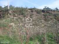 Terreno para moradia - Lote Construção