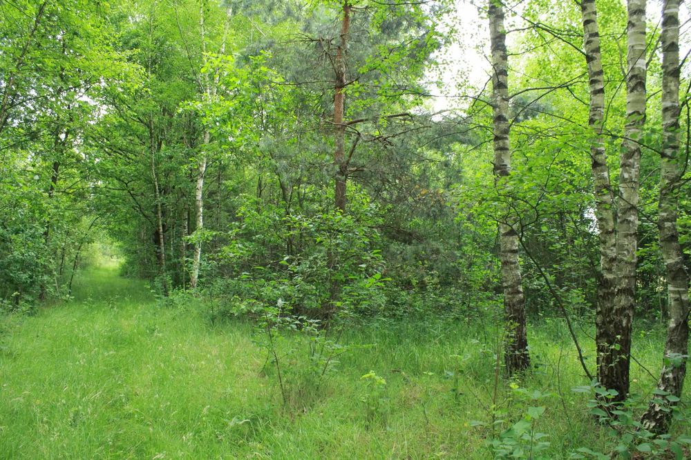 działka rolno budowlana, leśna przylegająca do rzeki o pow 22 200 m