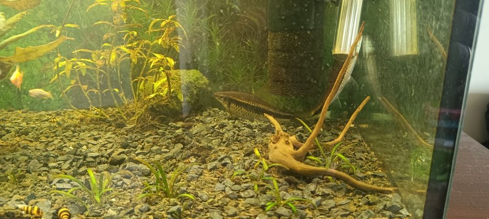 Akwarium 112 litrów  że wszystkim