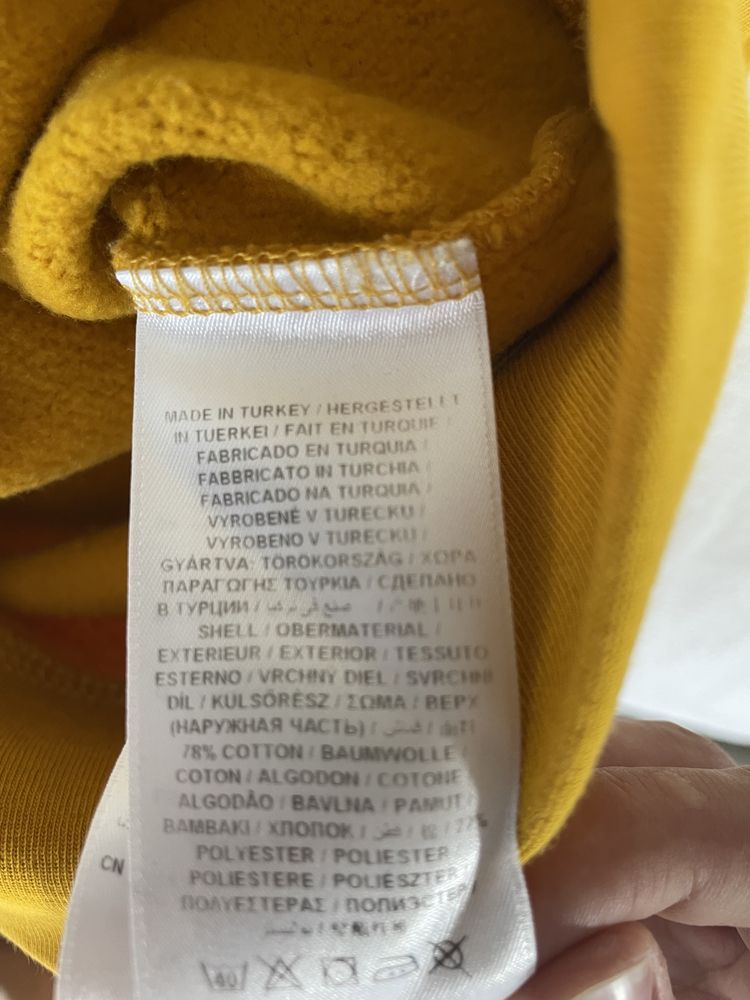 Hoodie Gant Vintage