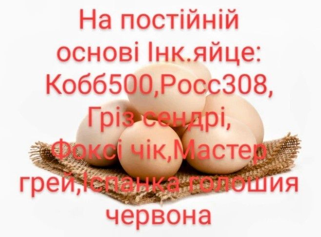 Інкубаційне Бройлерів