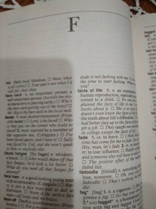 Dictionary of American Slang Словарь американского сленга