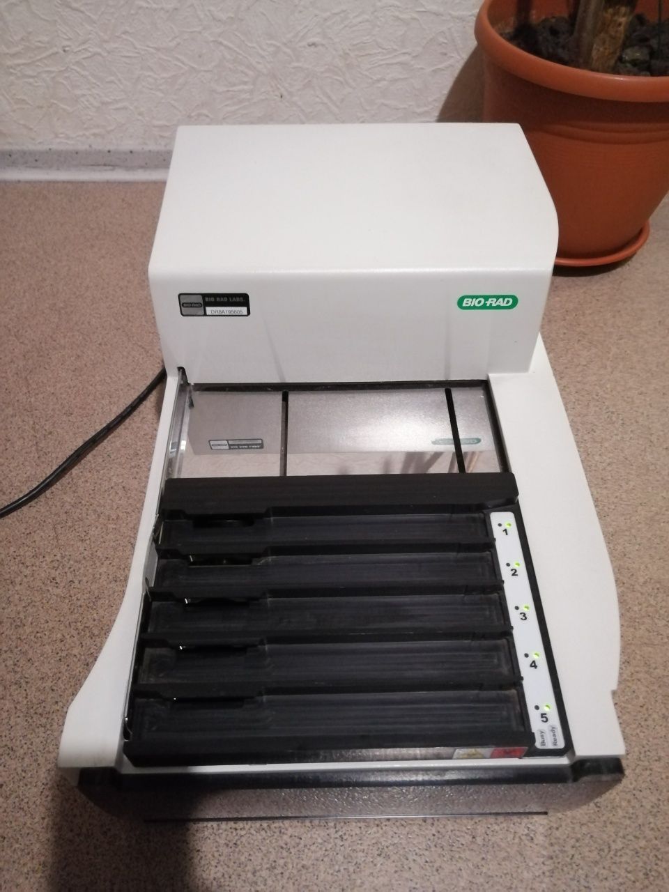 bio rad labs for D-10