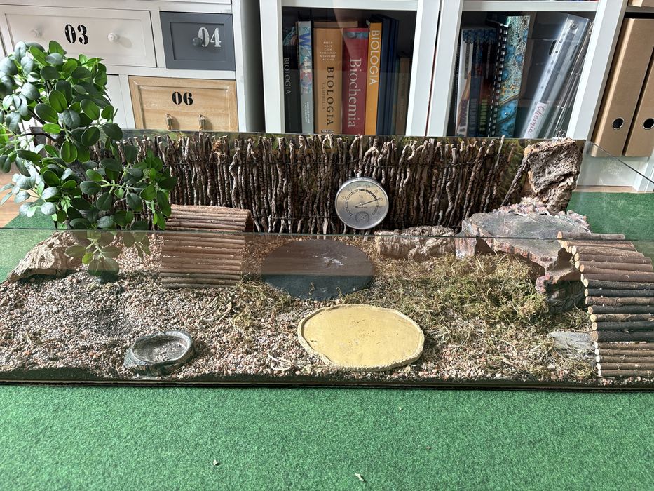 Terrarium szklane 100x40x23 dla gada