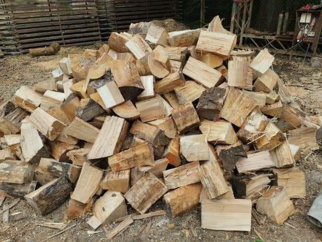 Drewno opałowe/ kominkowe
