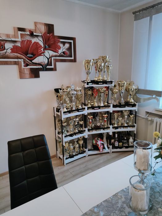 Młode Termondzkie Hodowla EW 345