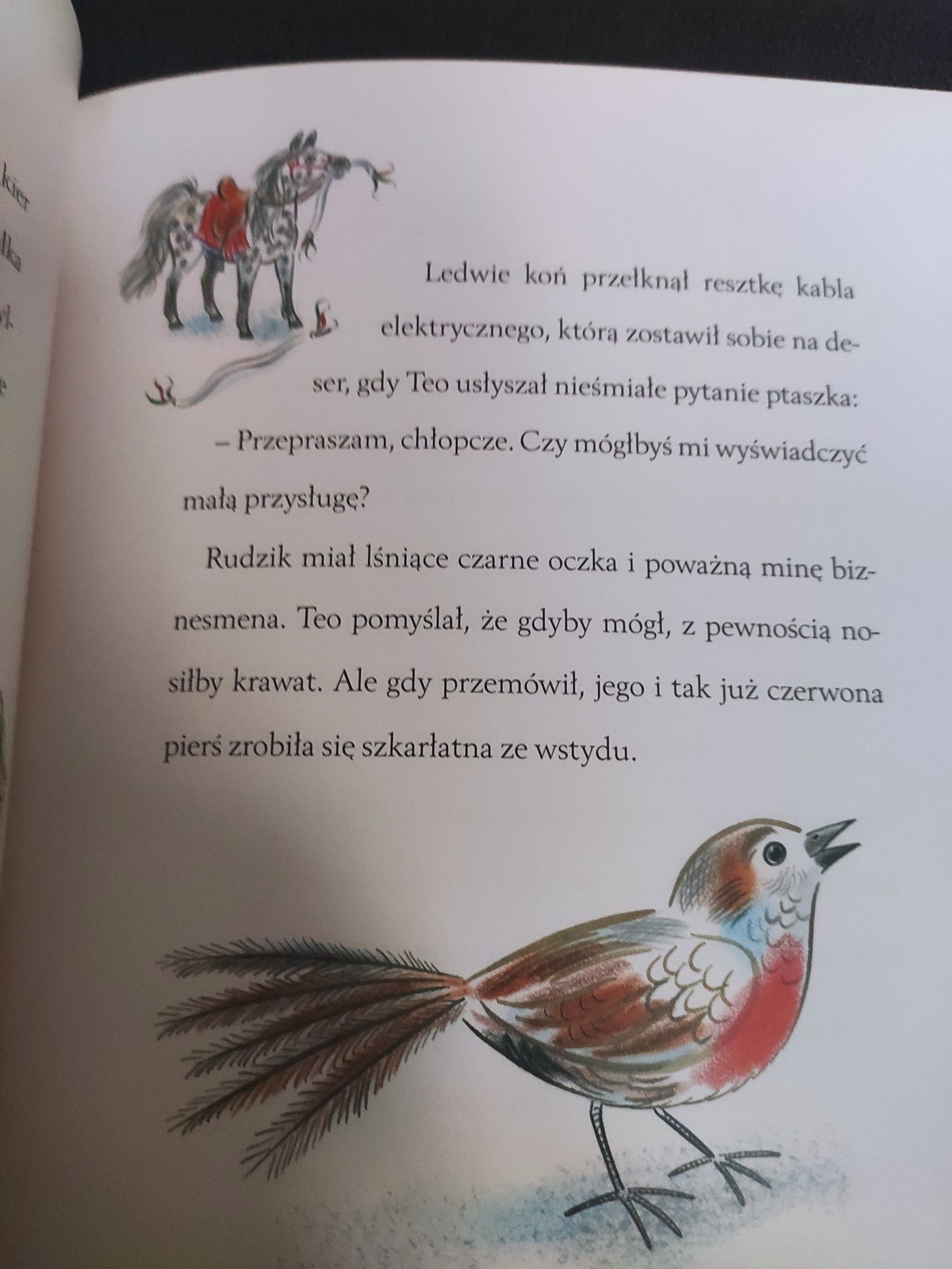 Książka dla dzieci "świąteczne życzenie " Katherine Rundell