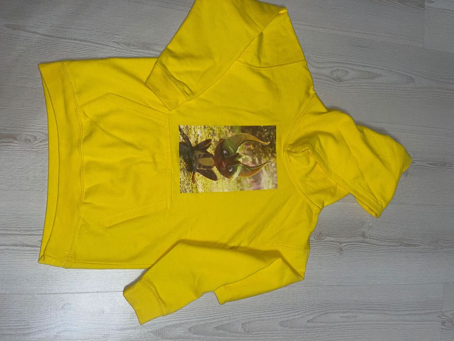 Худі (світшот, толстовка) дитяча на флісі