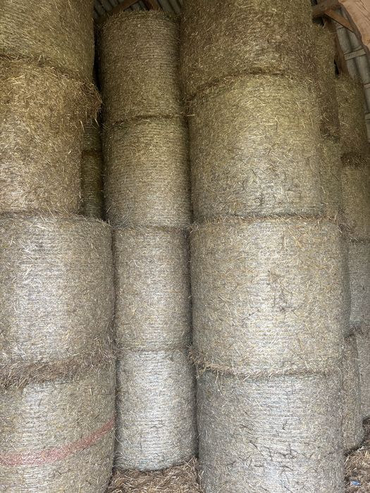 Sprzedam bele  słomy