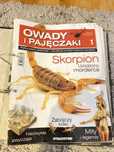 Owady i pajęczaki - kolekcja