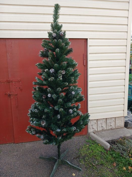 Ялинка європейська з шишками 2.1м