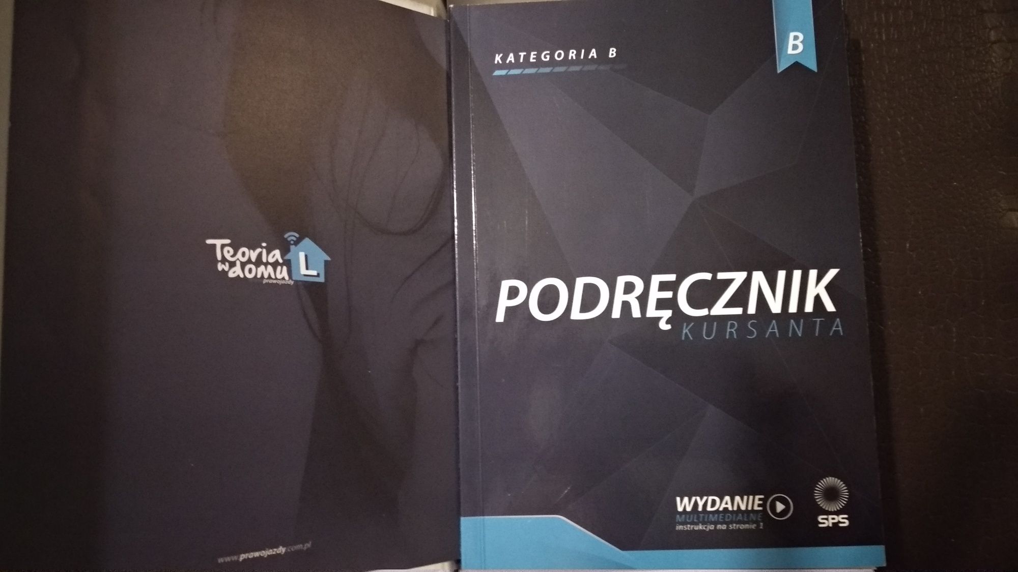 Profesjonalne szkolenie teoretyczne na prawo jazdy