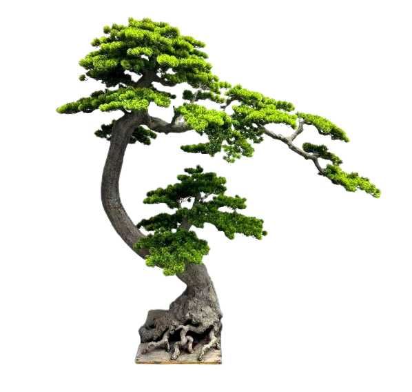 Sztuczne drzewko Bonsai Premium jak żywe SUPER JAKOŚĆ dużo modeli