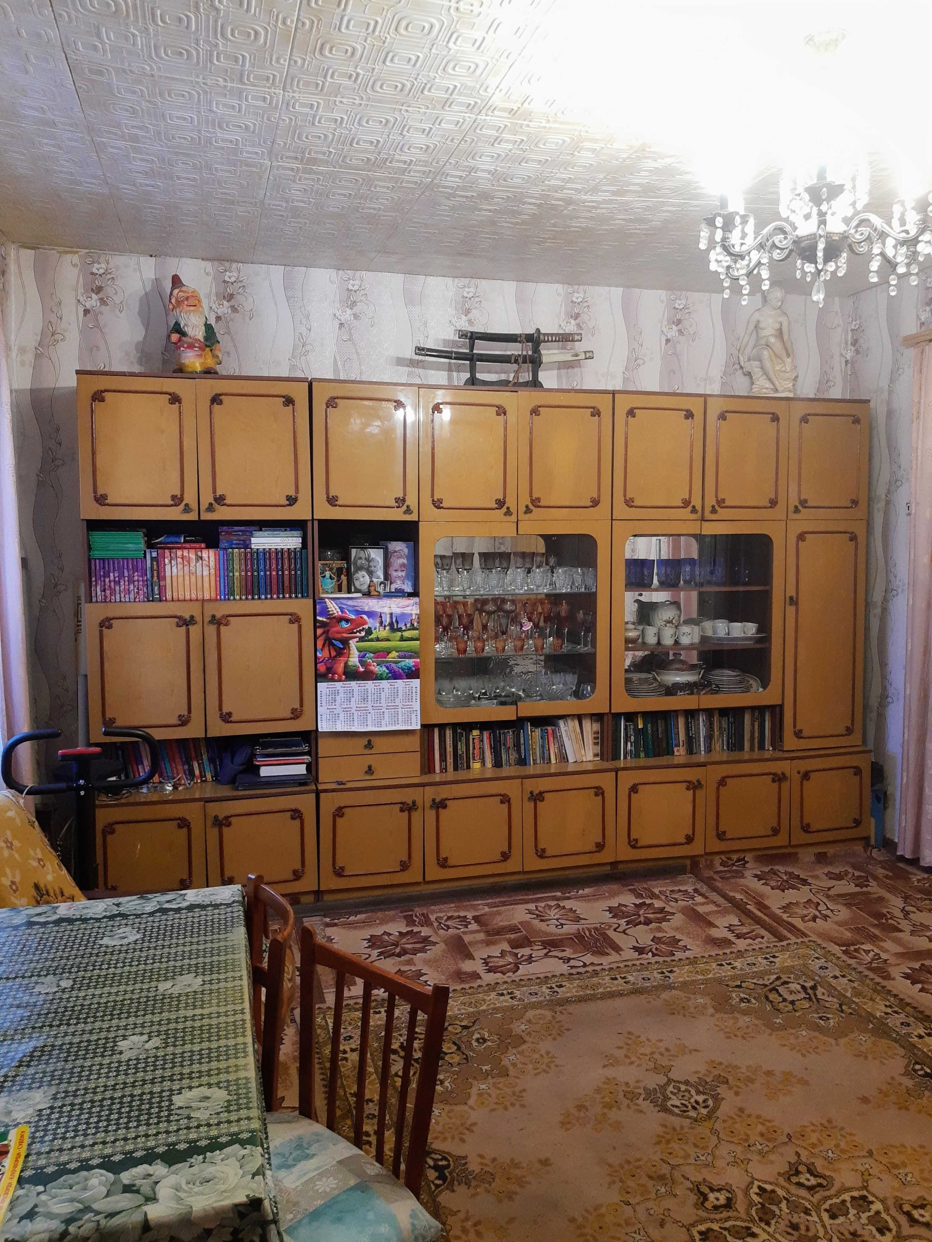 Терміновий продаж будинку в с.Петриківка Дніпропетровська область.