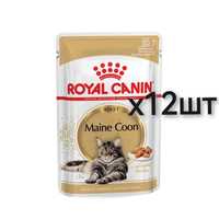 Вологий корм для дорослих котів породи мейн-кун Royal Canin Maine Coon