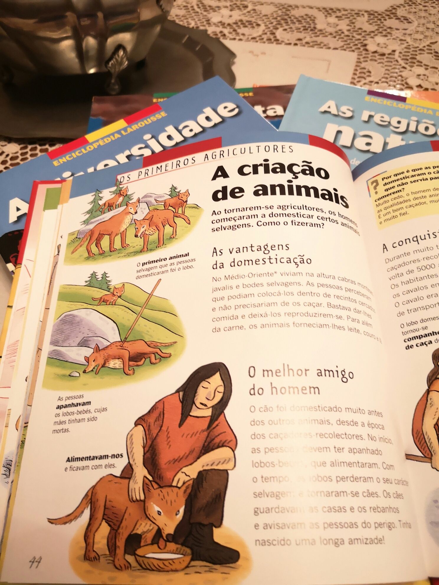 Colecção infantil Larousse 6 livros - planeta terra, dinossauros