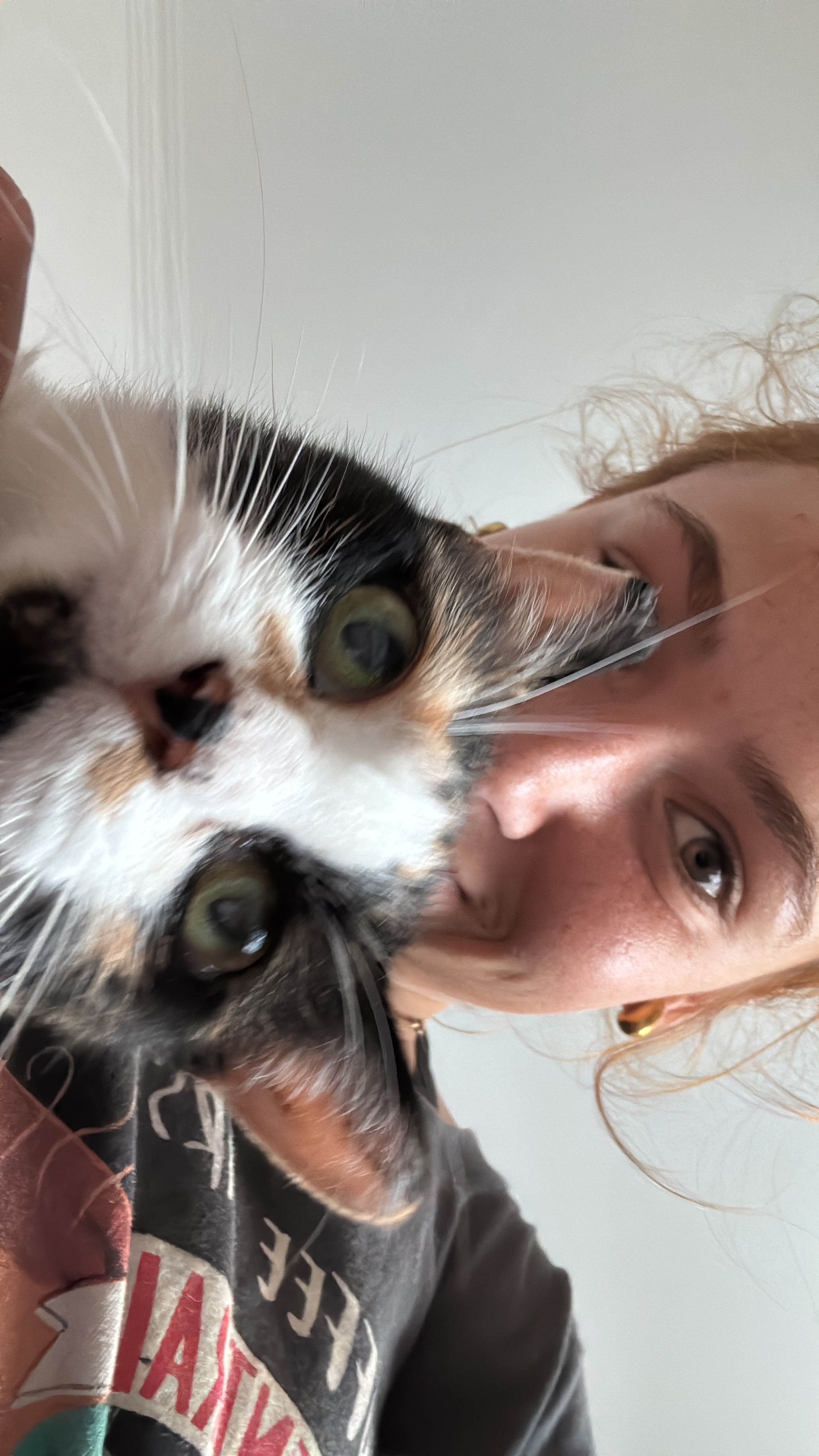Petsitter | Passeios e estadias familiares