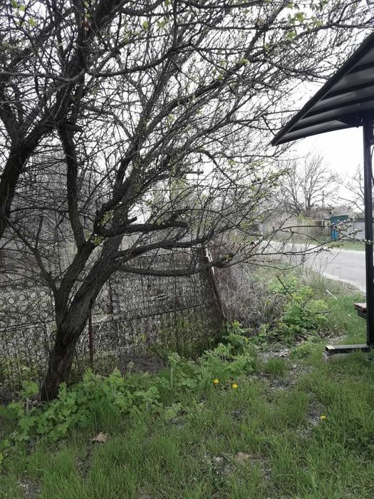 Продаж земельної ділянки 2.4 сотки в кооперативі Дружба (с. Ровжі).