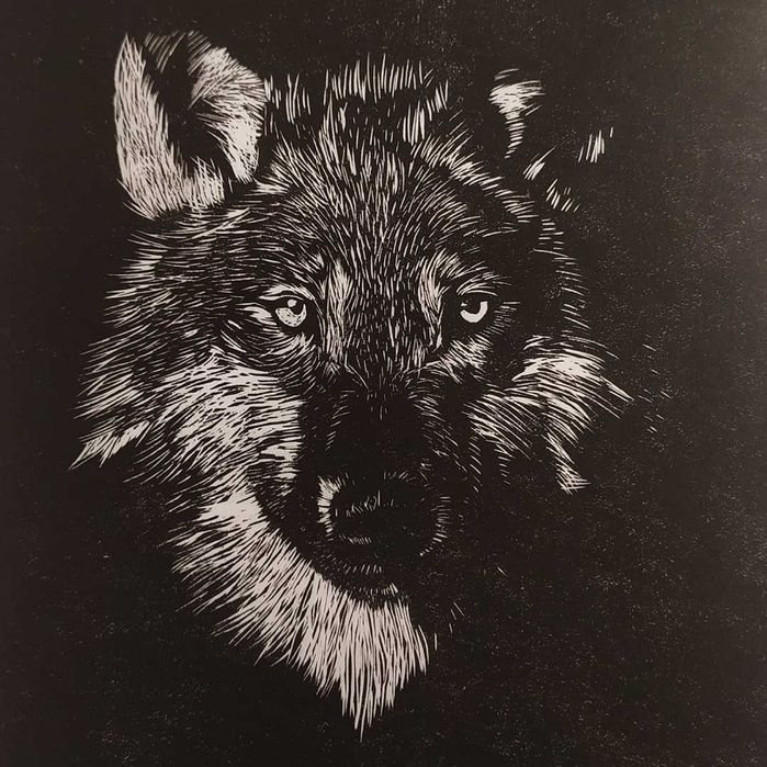 Wilk, owczarek, Linoryt, ilustracja - oprawiony w passe-partout