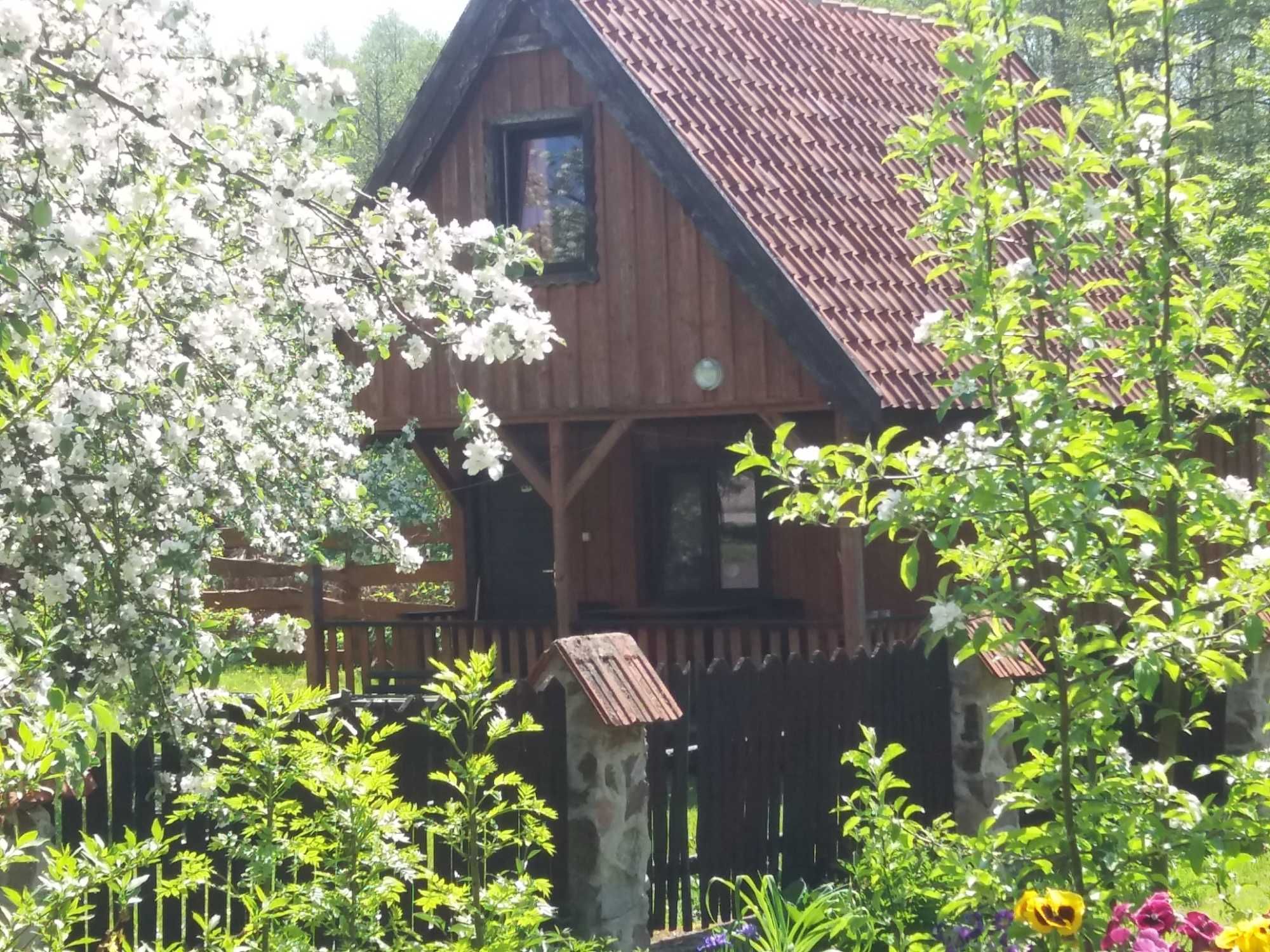 Domki nad jeziorem na Mazurach -agroturystyka cały rok, wolne terminy.
