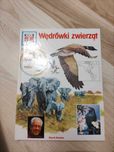 Wędrówki Ptaków - Co i Jak - Vitus B. Droscher