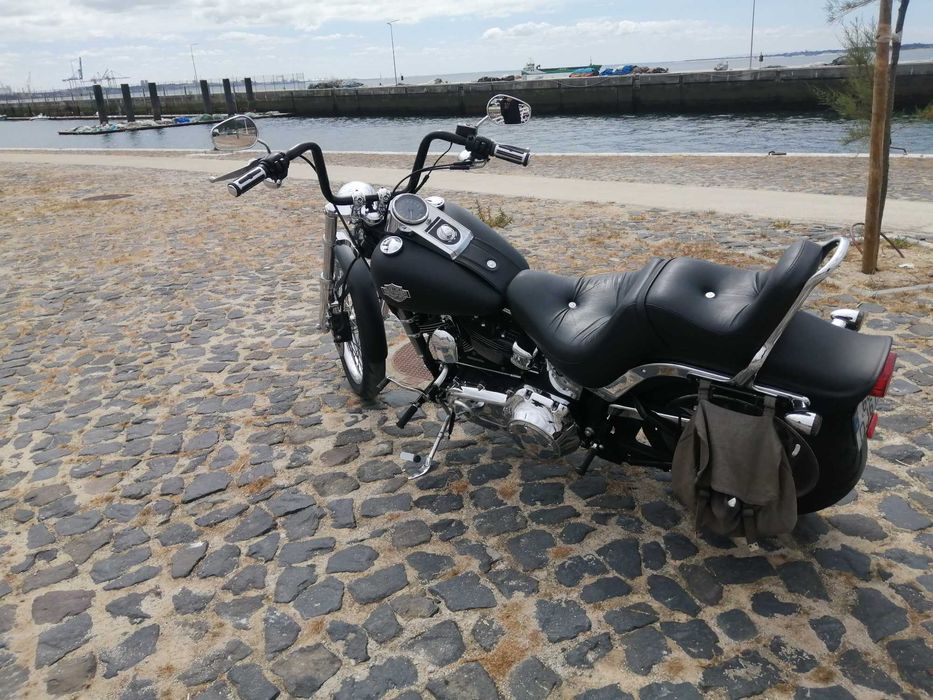 Harley davidson softail