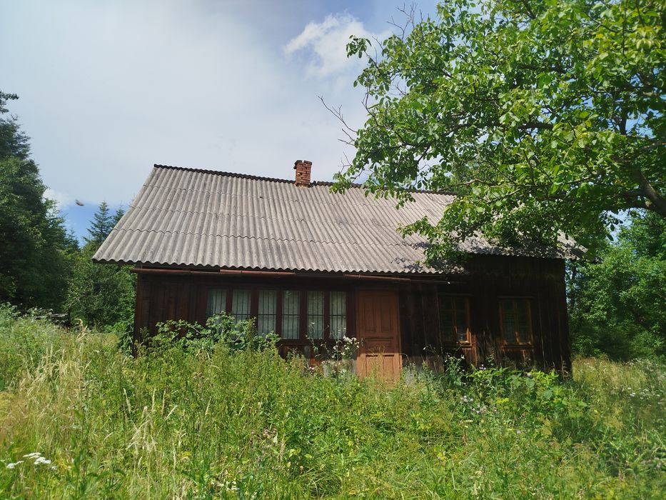 Будинок на хуторі, без сусідів, Карпати