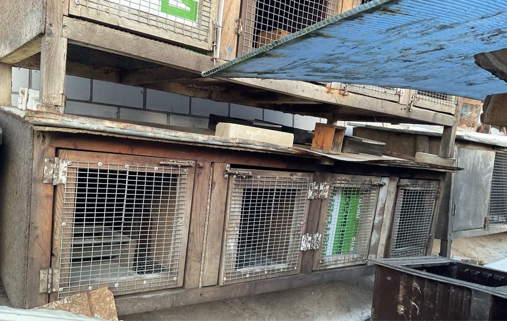 Клітки для кролів