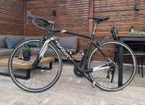 Szosa Willier Triestina GTR team full carbon