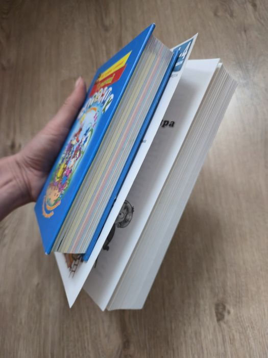 Перший тлумачний словник, словник довідник