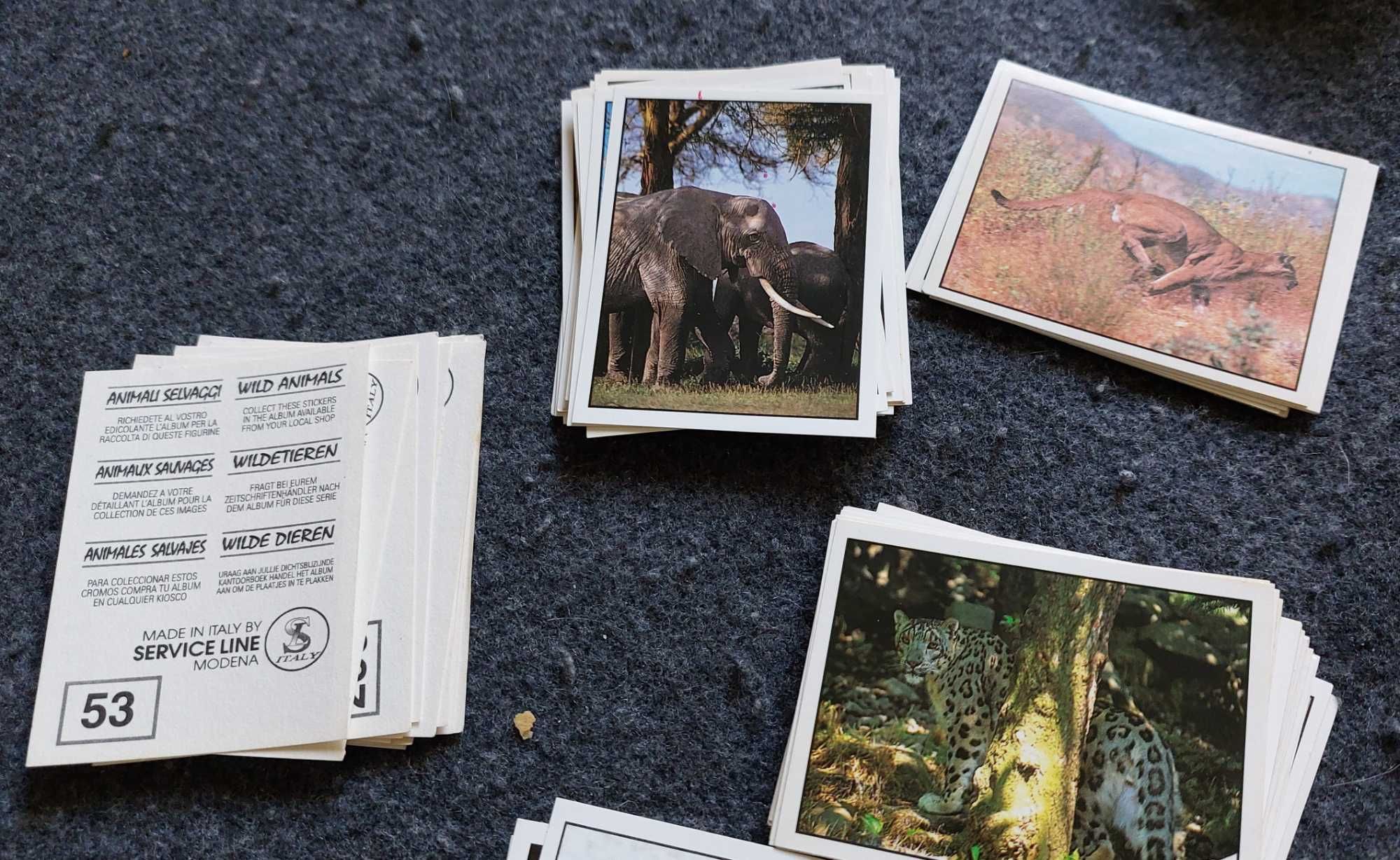 Lote de 240 Cromos Animais Selvagens