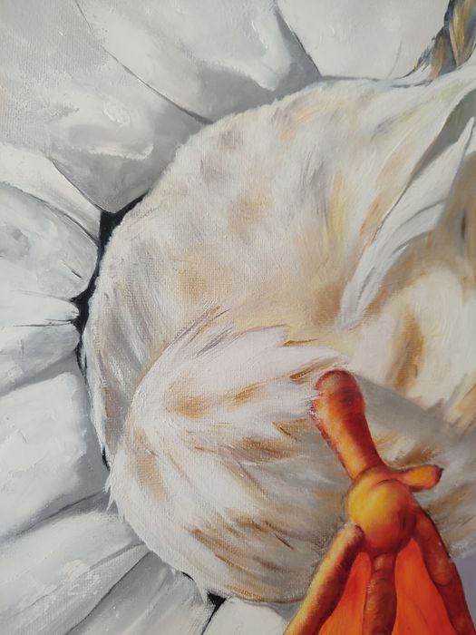 Obraz olejny na płótnie "Gęś w ścianie" 40*40 cm