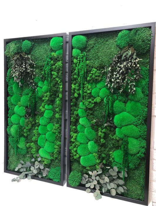 Картина с Мхом. Стабілізований Мох Картина