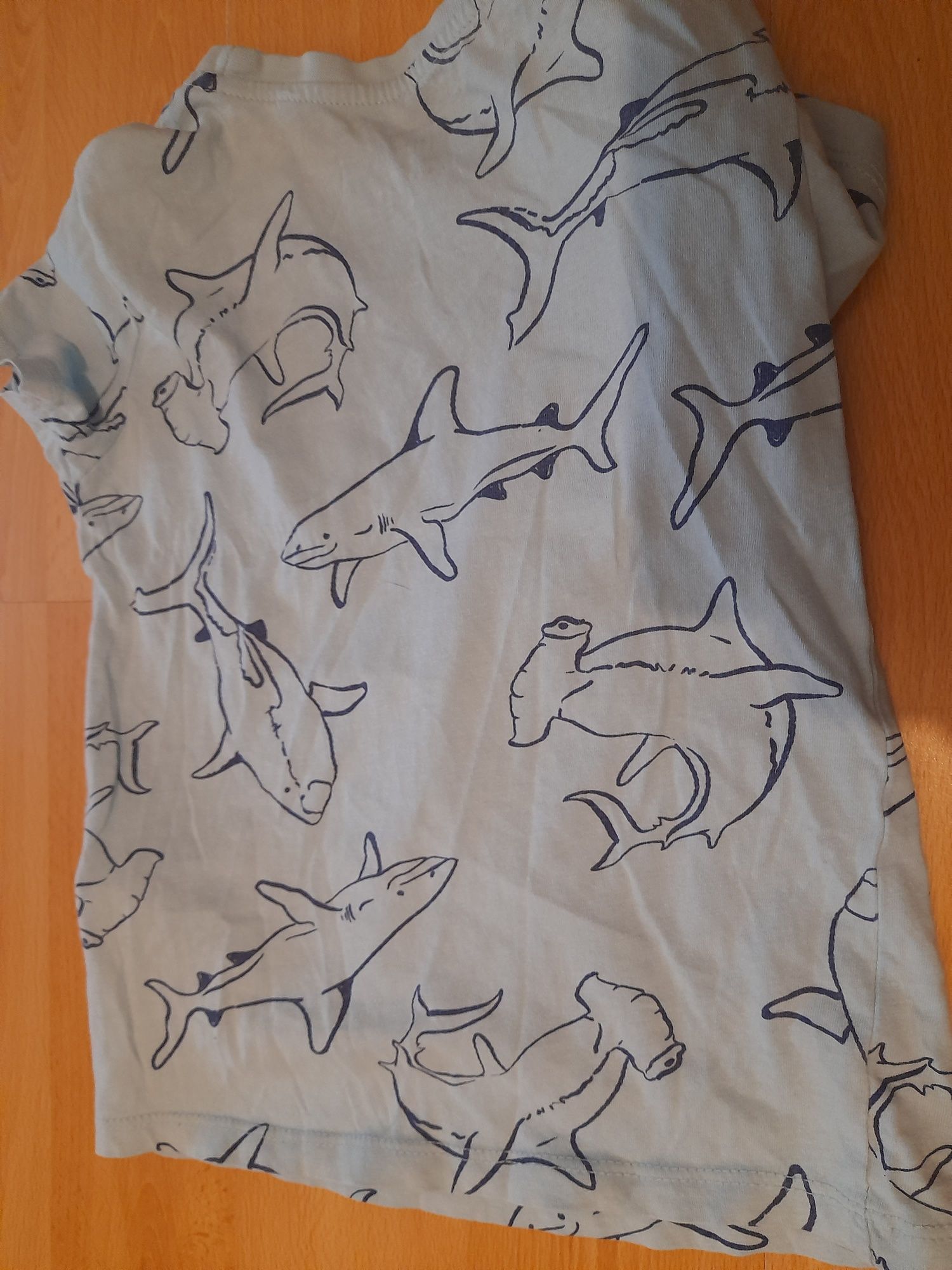 Koszulka T-shirt niebieskie rekiny 110