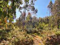 Terreno  para venda