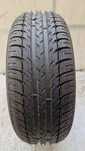 BFGoodrich g-Grip 205/55R16 91 V