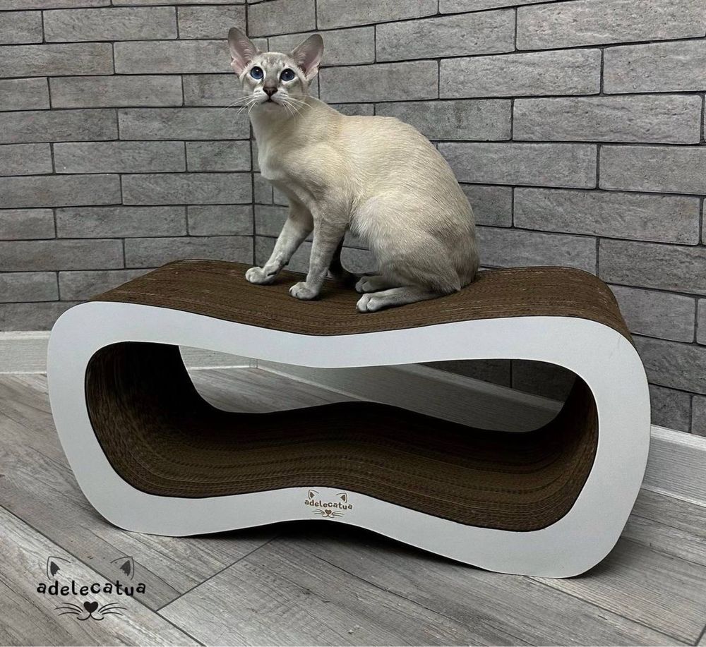 Дряпка AdeleCat| кігтеточка | когтеточка
