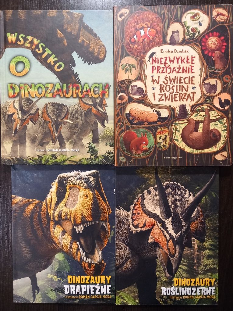 Zestaw książek A4 o dinozaurach i zwierzętach 4 sztuki