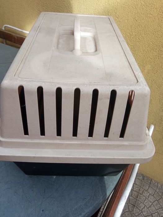 Transportadora de animais