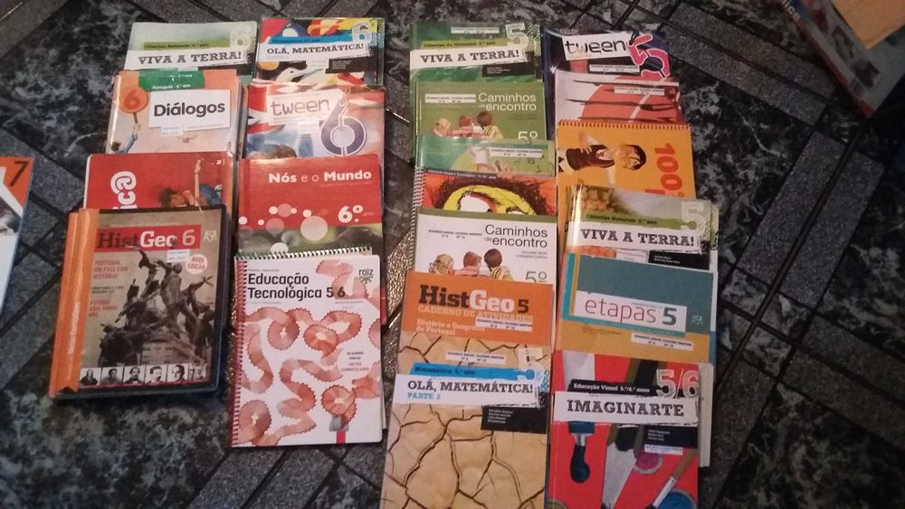Livros do 5 e 6 ano